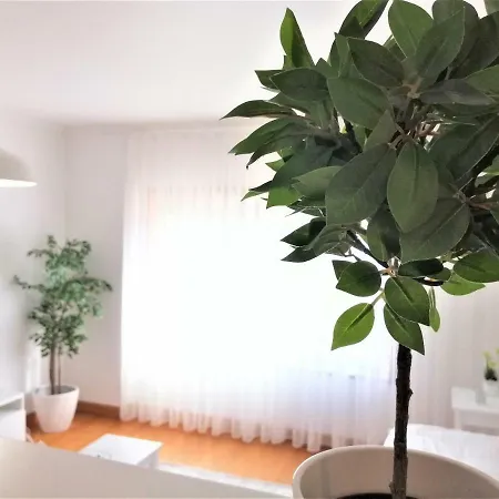 Carma's Place Apartment